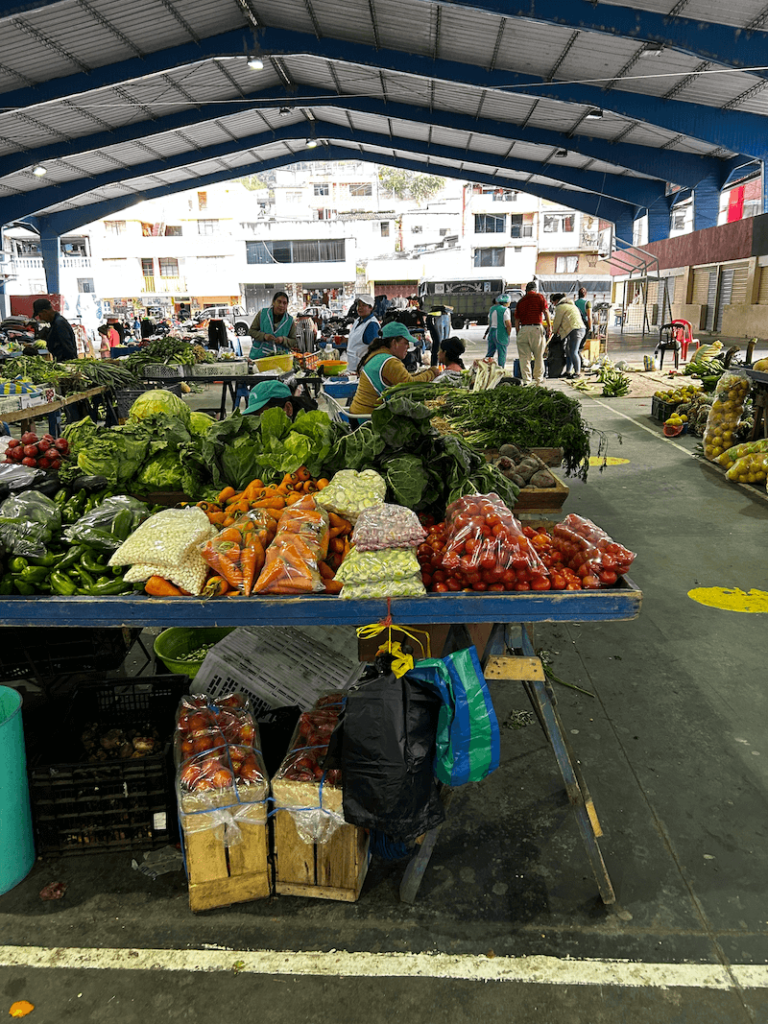 Fresh Produce Market in Banos de Agua Santa